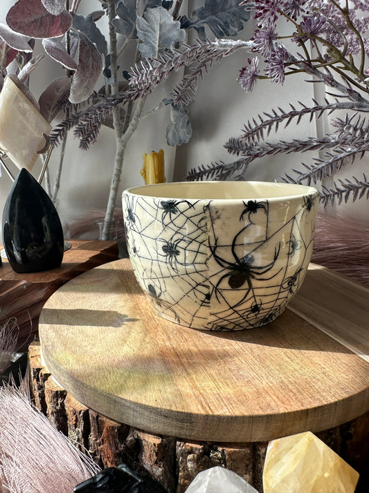 Spider Planter