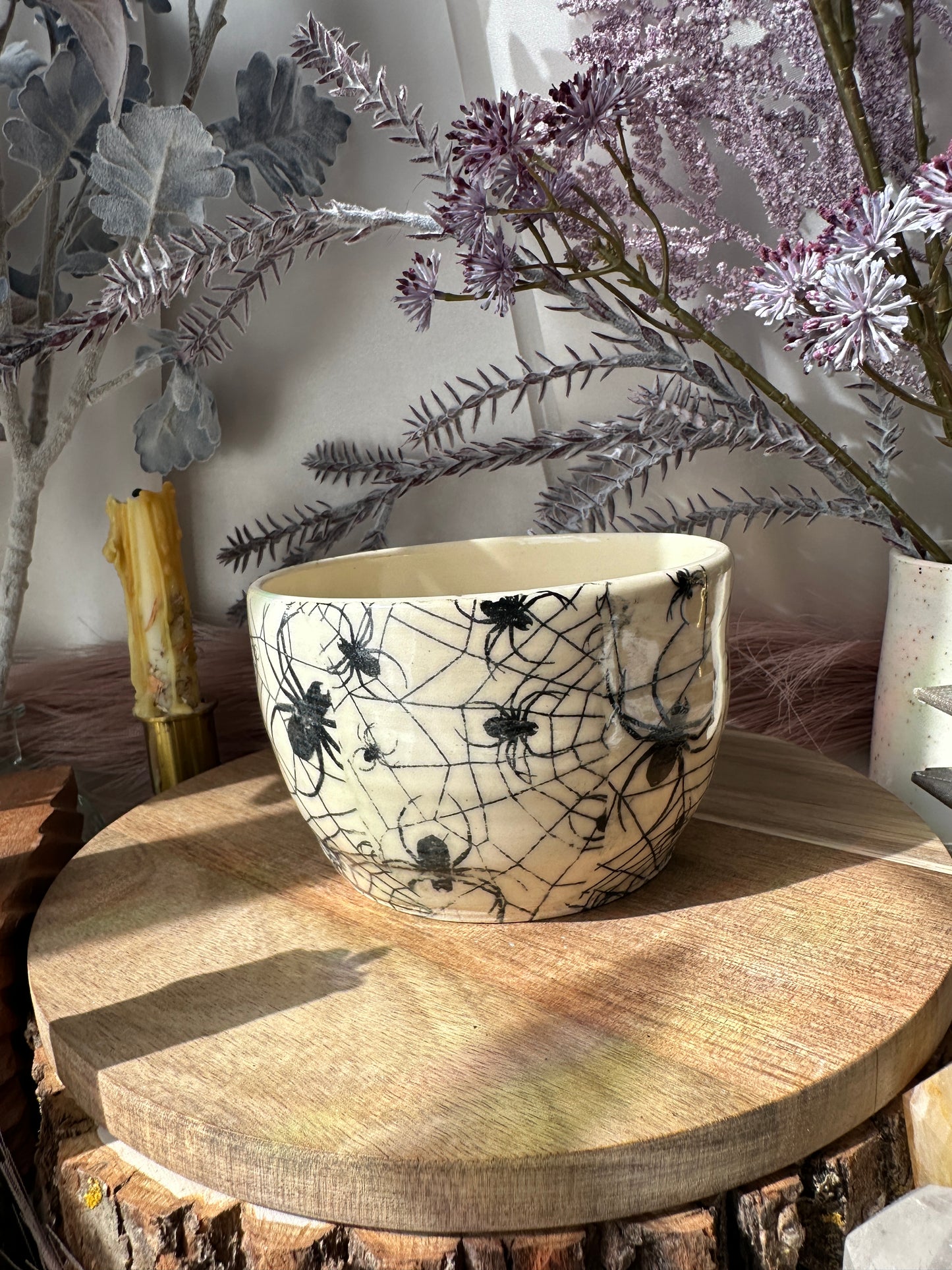 Spider Planter