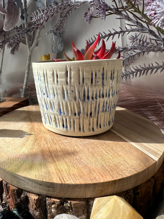 Small Blue Specked Planter