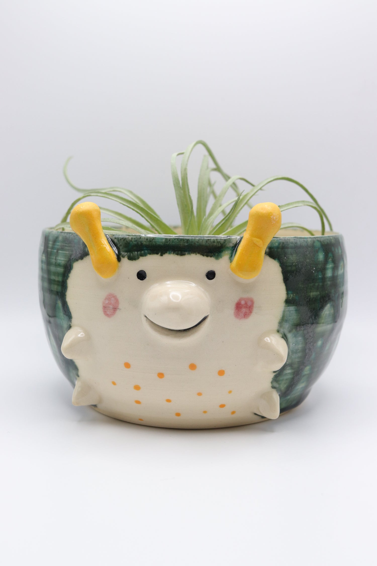 Animal Planters