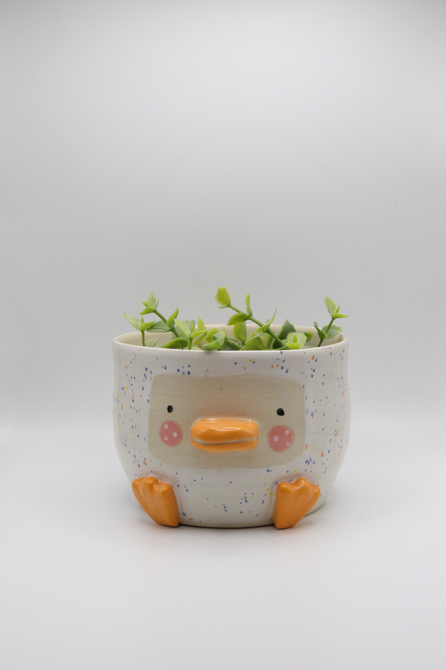 Duckie Planter