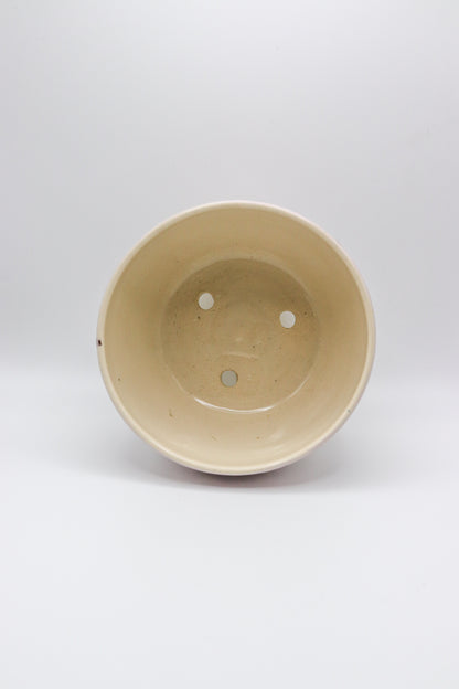 Golden Pink Planter