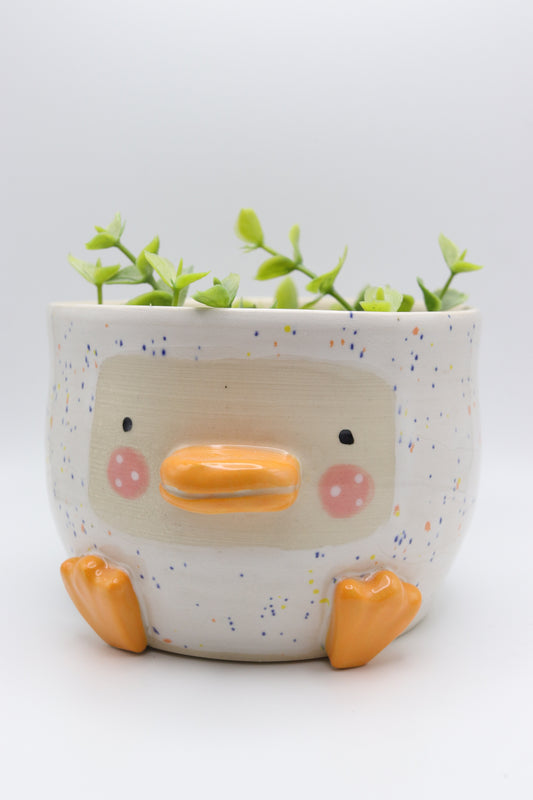 Duckie Planter