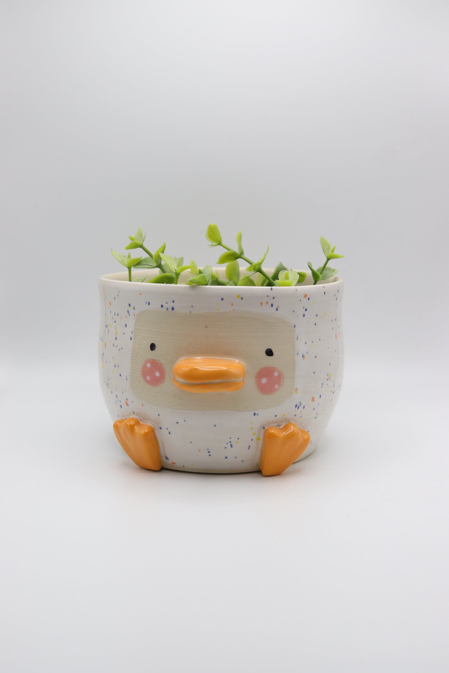 Duckie Planter