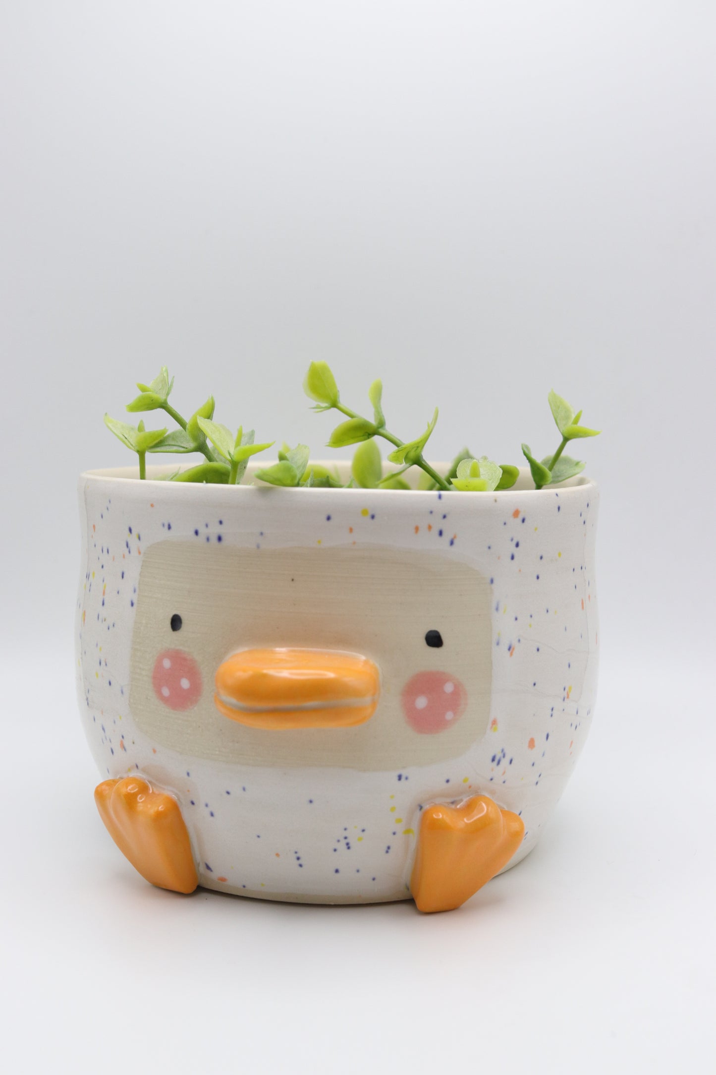 Duckie Planter